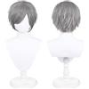 UTIEHD Parrucca lunga 30cm, parrucca universale per costumi anime e cosplay, perfetta per feste, uso quotidiano, festival e Halloween (Grigio argento)