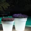 Lyxo Vaso Aria con luce di Lyxo