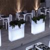 Lyxo Vaso Flower Box Dune con luce di Lyxo