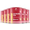 Nature's Finest FatBurn Tea 6x