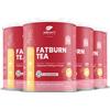 Nature's Finest FatBurn Tea 4x