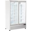 CoolHead Congelatore Verticale RFG1350 con Anta Doppia a Vetro - Bianco o Nero - Capacità lt 1084