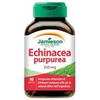 BIOVITA Srl ECHINACEA PURP JAMIESON 90CPS