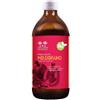SALUGEA (RELOAD Srl) MELOGRANO BIO SUCCO SALUGEA