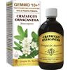 giorgini Gemmo 10+ biancospino liquido analcolico 500 ml