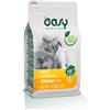 wonderfood Oasy Gatto Lifestage Adulto Hairball Pollo 300 Gr New Pack