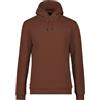 DOLOMITE HOOD M'S LOGO PECAN BROWN Felpa con Cappuccio Uomo