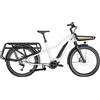 BERGAMONT E-CARGOVILLE LT EXPERT Bici elettrica 26