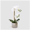 EDG Enzo De Gasperi Orchidea Phalaenopsis Artificiale con Vaso 40cm Bianco