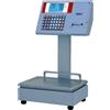 Waage Bilancia Professionale Omologata Waage IRON - Stampante - 2 Operatori