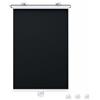 DZHTUF Tenda A Rullo A Ventosa Senza Fili Con Molla,Tende A Rullo Per Finestrini,Tenda Oscurante Per Il Soggiorno,Tenda Termica Avvolgibile Per Camera Da Letto,Sicure Per I Bambini.,Black-40x80cm/16x31in