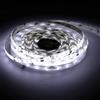 JANDEI - Striscia Led 5 m 12V per Esterno IP65, Luce Fredda 6000K, 300 LED, SMD2835, Luci LED Stagne 6W Basso Consumo, con Adesivo, Tagliabile ogni 5 cm (Alimentatore non Incluso)