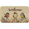 comfoyar Uccelli e Fiori Zerbino Decorativo, Tappeto Gatto Carino Antiscivolo Tappetino da Pavimento Benvenuto per interni esterni Ingresso, Patio, Garage 43 x 75 cm