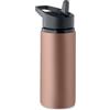 Borraccia con cannuccia a singolo strato 500 ml Spot personalizzate o neutre