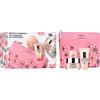 Clinique Moisture Surge Cofanetto