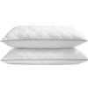 SONGMICS HOME Cuscini Letto Set da 2, Usi su 2 Lati, 50 x 70 cm, Federa Rinfrescante, Imbottitura 650 g, Inverno Estate, Lavabile in Lavatrice e Asciugabile Inferiore a 60°C, Bianco Nuvola TBP024W01