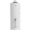 Ariston Scaldabagno a Gas a Camera Aperta Ariston SGA X Big 500 L Metano/Gpl Low NOx ,