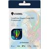 CorelDraw Graphics Suite 2021 Professional