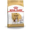ROYAL CANIN Dog Food Beagle Adulto 3 kg