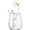 KROSNO Home Vaso in Vetro per Fiori 22 cm - Cristallo senza piombo, design liscio e minimalista, per bouquet ed erbe decorative, per casa, soggiorno e ristorante, lavabile in lavastoviglie