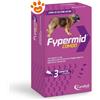 Candioli Dog Fypermid Combo Oltre 40 Kg Spot-On - Confezione Da 3 Pipette : Data scadenza: 30/07/2025