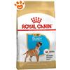 Royal Canin Dog Puppy Boxer - Sacco Da 12 Kg