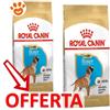 Royal Canin Dog Puppy Boxer - Offerta [PREZZO A CONFEZIONE] Quantità Minima 2, Sacco Da 12 Kg