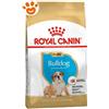 Royal Canin Dog Puppy Bulldog Inglese - Sacco Da 12 Kg