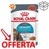 Royal Canin Cat Urinary Care in Salsa Gravy - Bustina Da 85 Gr - CONFEZIONE RISPARMIO