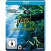 Alive - Vertrieb und Marketing/DVD Bugs! Abenteuer im Regenwald in 3D