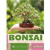 Demetra Bonsai. Stili, legature e potature