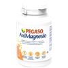 schwabe-pharma-italia AXIMAGNESIO 100CPR
