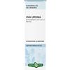 ERBA VITA GROUP SpA Uva Ursina Tintura Idroalcolica Erba Vita 50ml - Integratore per Vie Urinarie