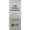 FORZA VITALE ITALIA SRL Ecosol Vitis Vinifera Composta Gocce 50Ml