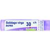 Boiron Solidago Virga Aurea Granuli 30Ch Tubo 4G