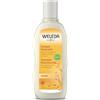 WELEDA ITALIA SRL Weleda Avena Shampoo Ristrutturante Per Capelli Secchi 190 Ml