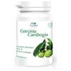 ALGEM NATURA SRL Algem Natura Garcinia Cambogia Integratore Equilibrio Peso Corporeo 60 Compresse