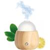 Puressentiel Italia Srl Diffusore Atmo Puressentiel 1 Pezzo