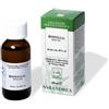 Boswellia 60Ml Tintura Madre
