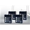 Quality Batteries Batteria di ricambio per il sistema UPS Belkin OmniGuard F6C150-RKM-2U