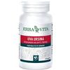 Erba Vita UVA URSINA 60 CAPSULE