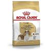 Royal Canin Dog Food Cavalier King Charles Adulto 1,5 kg