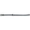 JACK AND VANILLA, Collare per Cane, Modello Black Label, Colore Grigio, Misura 12 mm x 30 cm
