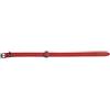 JACK AND VANILLA, Collare per Cane, Modello Black Label, Colore Rosso, Misura 12 mm x 30 cm