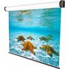 Sopar Schermo per proiettore 2.49 m 98" 4:3 - 5201