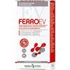 ERBA VITA Ferro EV Retard integratore alimentare di ferro con compressa gastro-retard arricchito con Vitamina C e Vitamina B