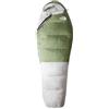 THE NORTH FACE NF0A52E2AQO GREEN KAZOO Sacco a pelo Uomo Forest Shade/Tin Grey/N Taglia SHT