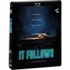 Sound Mirror It Follows (Blu-Ray Disc)