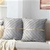 MAIXUN Federe Cuscini 40x40 Decorativi in Velluto Grigio Oro Banda Copricuscini Divano Morbidi Cerniera Nascosta per Divani Soggiorno Imbottiture Sedie Pallet Camera da Letto Set di 2