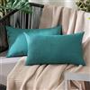 MIULEE 2 Pezzi all'Aperto Copricuscini Impermeabile Federe per Cuscino Decorativi Moderni in Poliestere Cuscini in Lino per Divano Sedie Picnic Camera da Letto 30x50 cm Blu Chiro